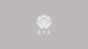 平面設計的視覺語言 從核心圖形到樣機展示的魅力呈現